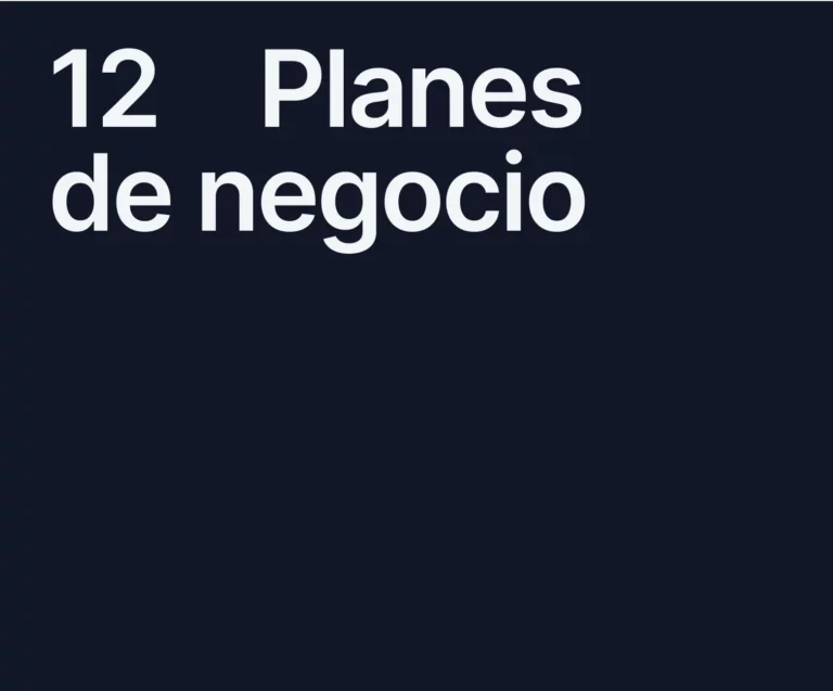 12 planes de negocio