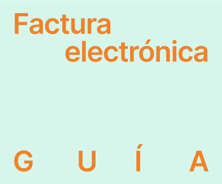 guía factura electrónica